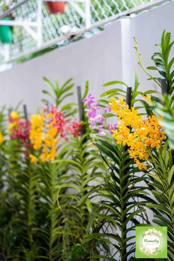 Tho Orchid Garden